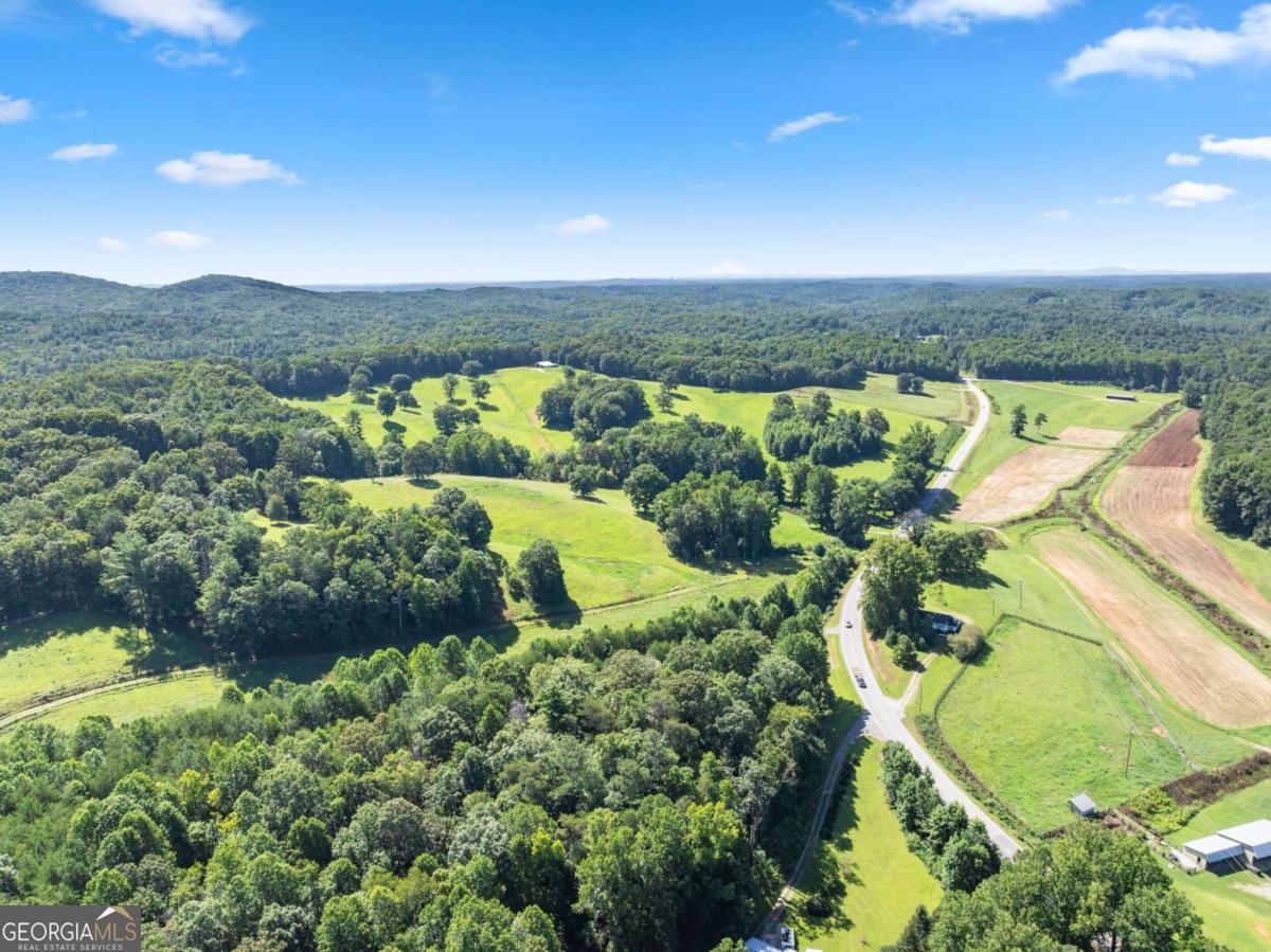 9724 Elliott Family Parkway Dawsonville - Photo 54