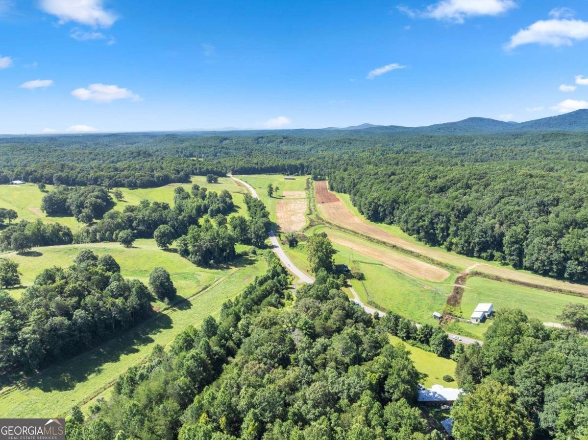 9724 Elliott Family Parkway Dawsonville - Photo 55