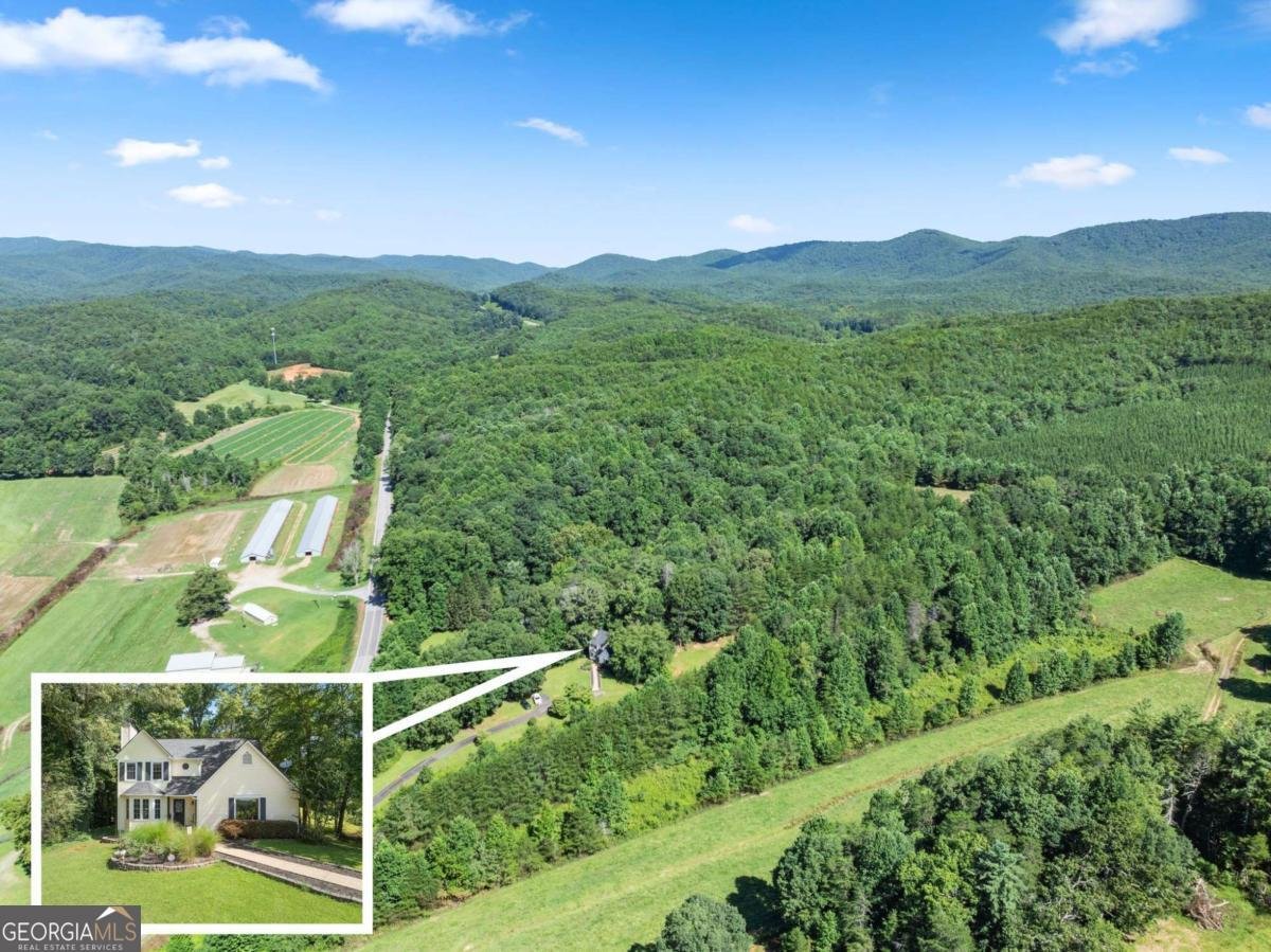 9724 Elliott Family Parkway Dawsonville - Photo 57