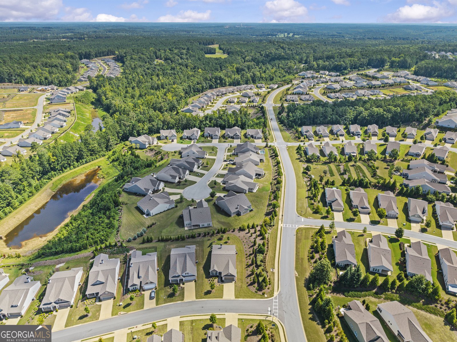 1001 Little Shoals Road Greensboro - Photo 46