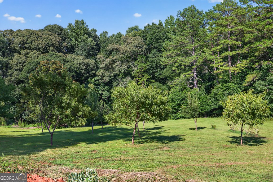 3715 Bob Bryant Road Gainesville - Photo 31