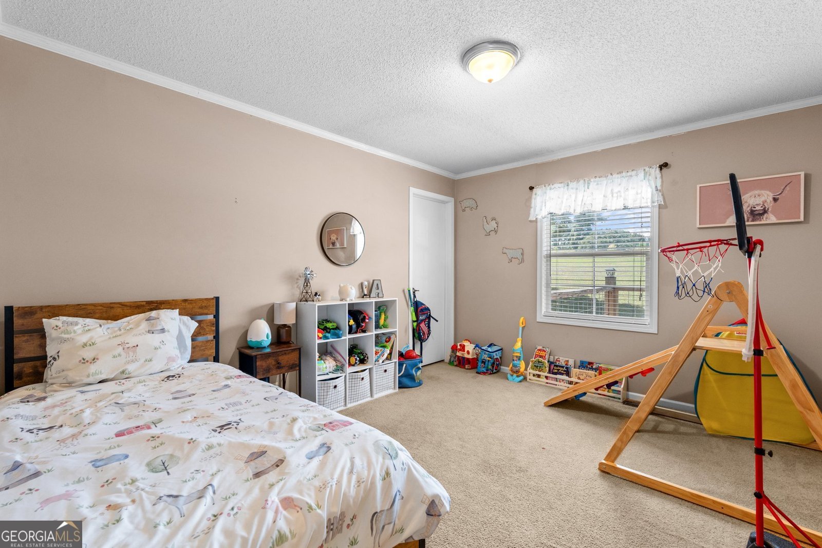 480 Thomas Street Roopville - Photo 12