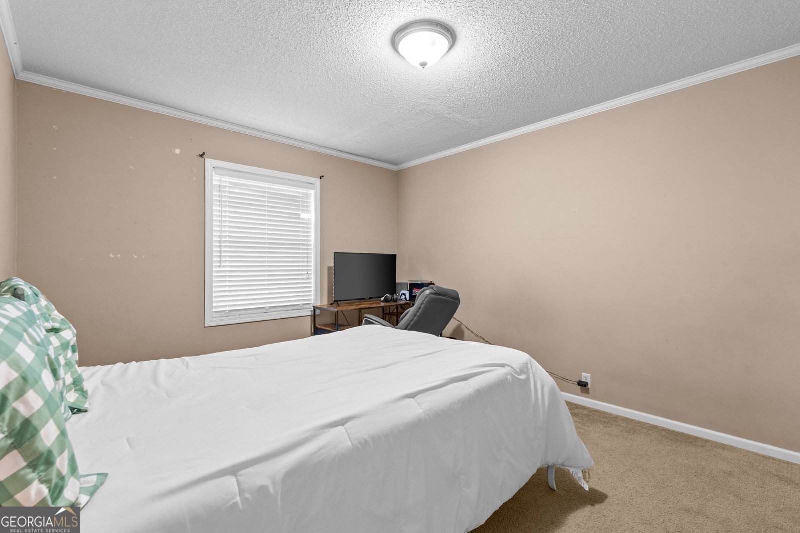 480 Thomas Street Roopville - Photo 13