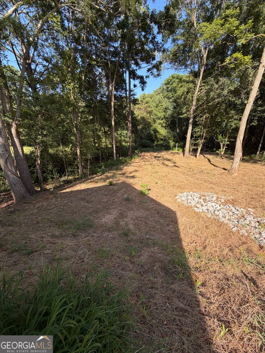 402 Poplar St Hogansville - Photo 16