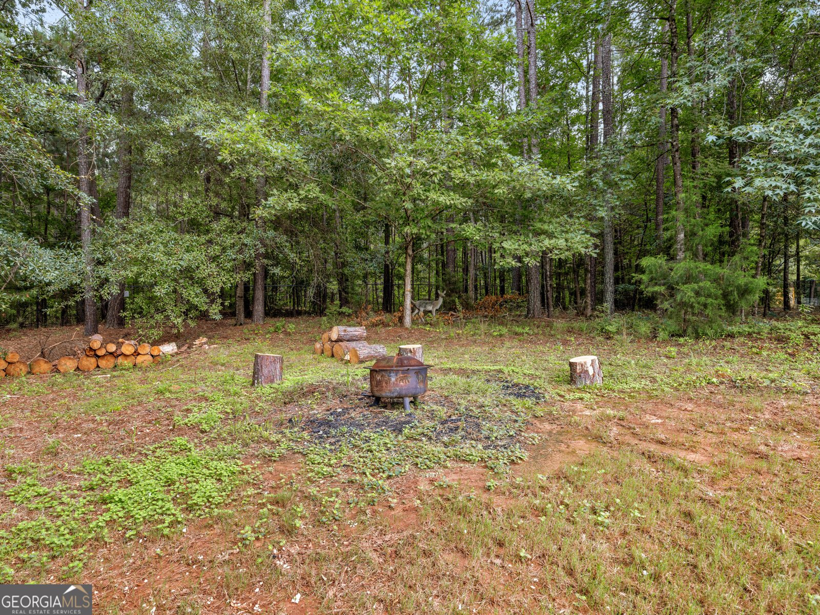 122 Old Stonewall Drive Locust Grove - Photo 52