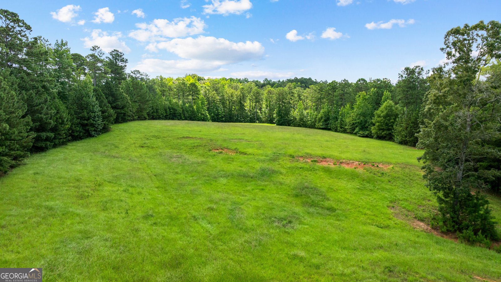 2175 Bear Creek Rd Moreland - Photo 66