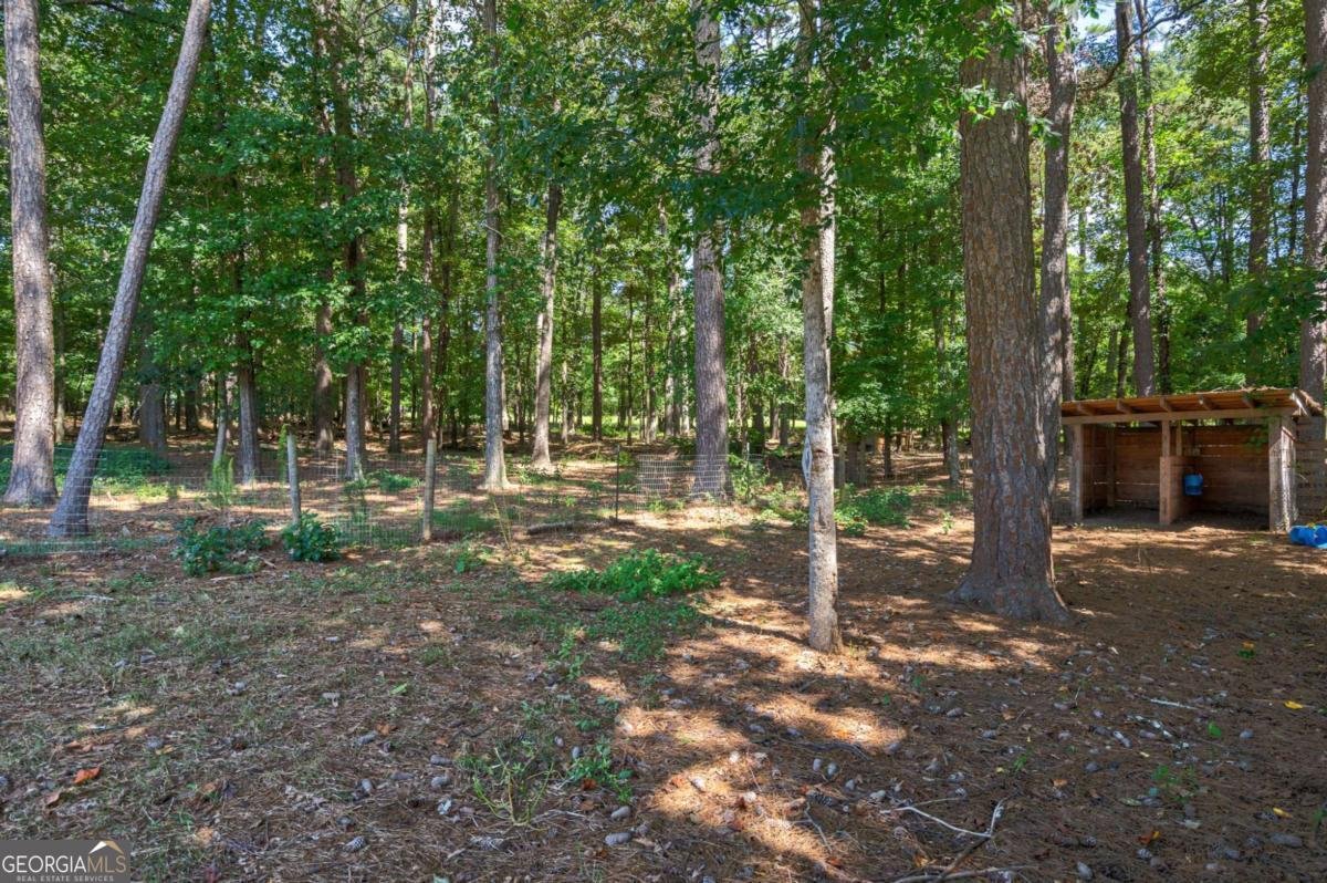 610 Spring View Drive Covington - Photo 56