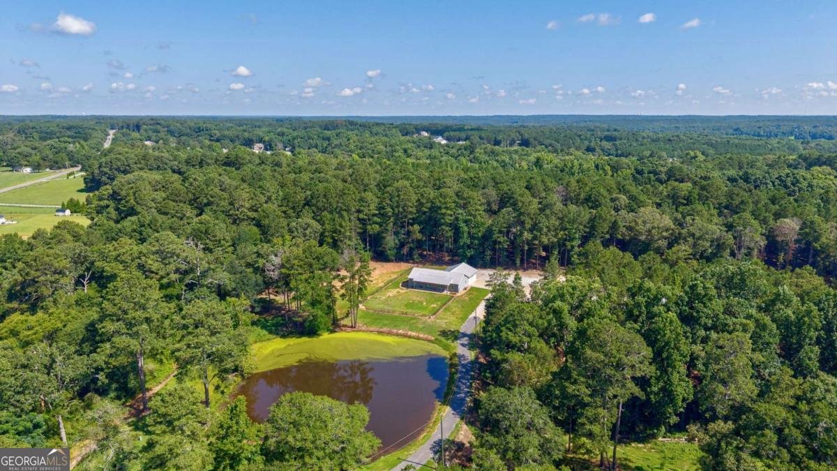 610 Spring View Drive Covington - Photo 80