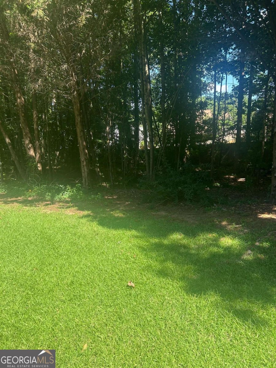 100 Avondale Circle Newnan - Photo 42