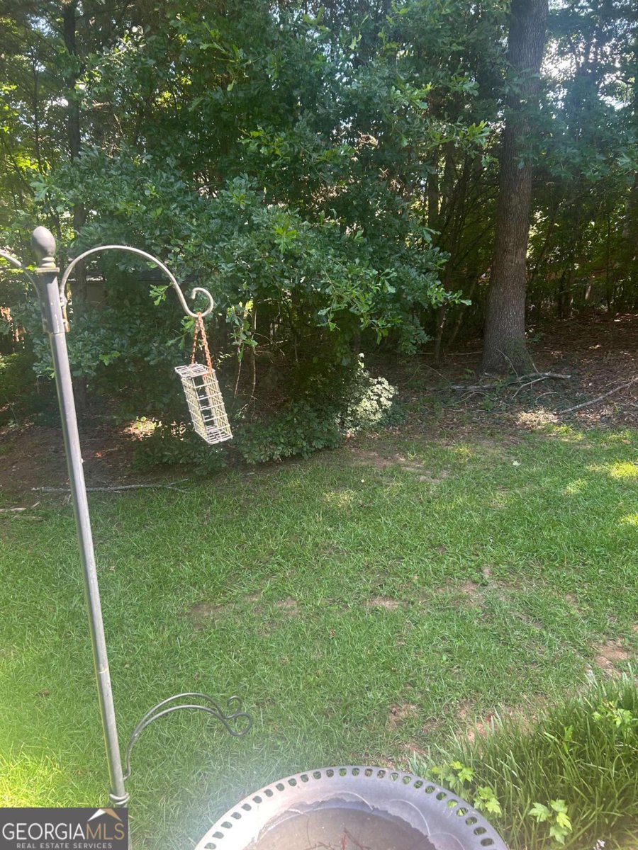 100 Avondale Circle Newnan - Photo 43