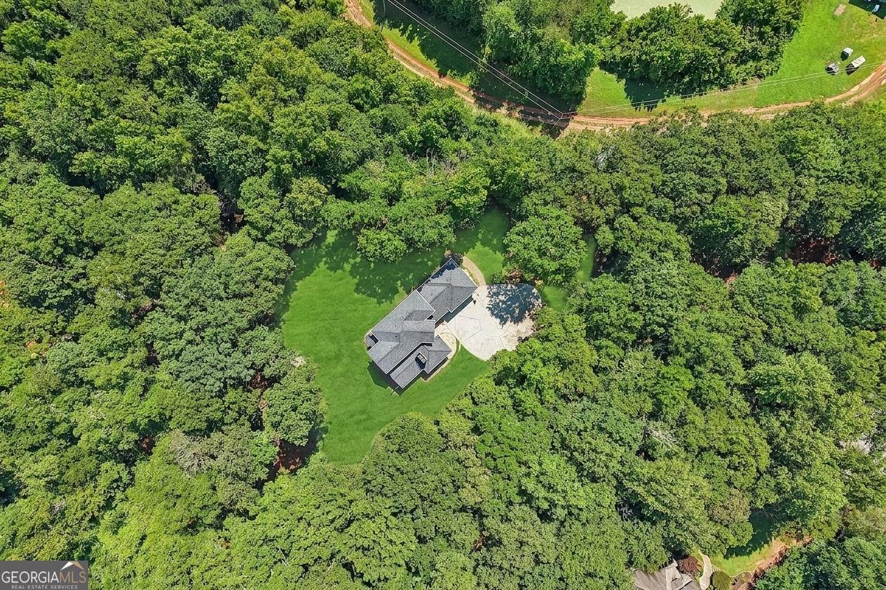 881 River Chase Hoschton - Photo 56