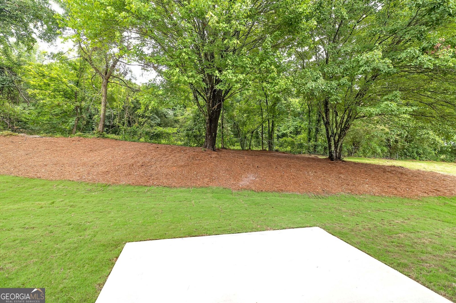 151 Bruce Road Dawsonville - Photo 6