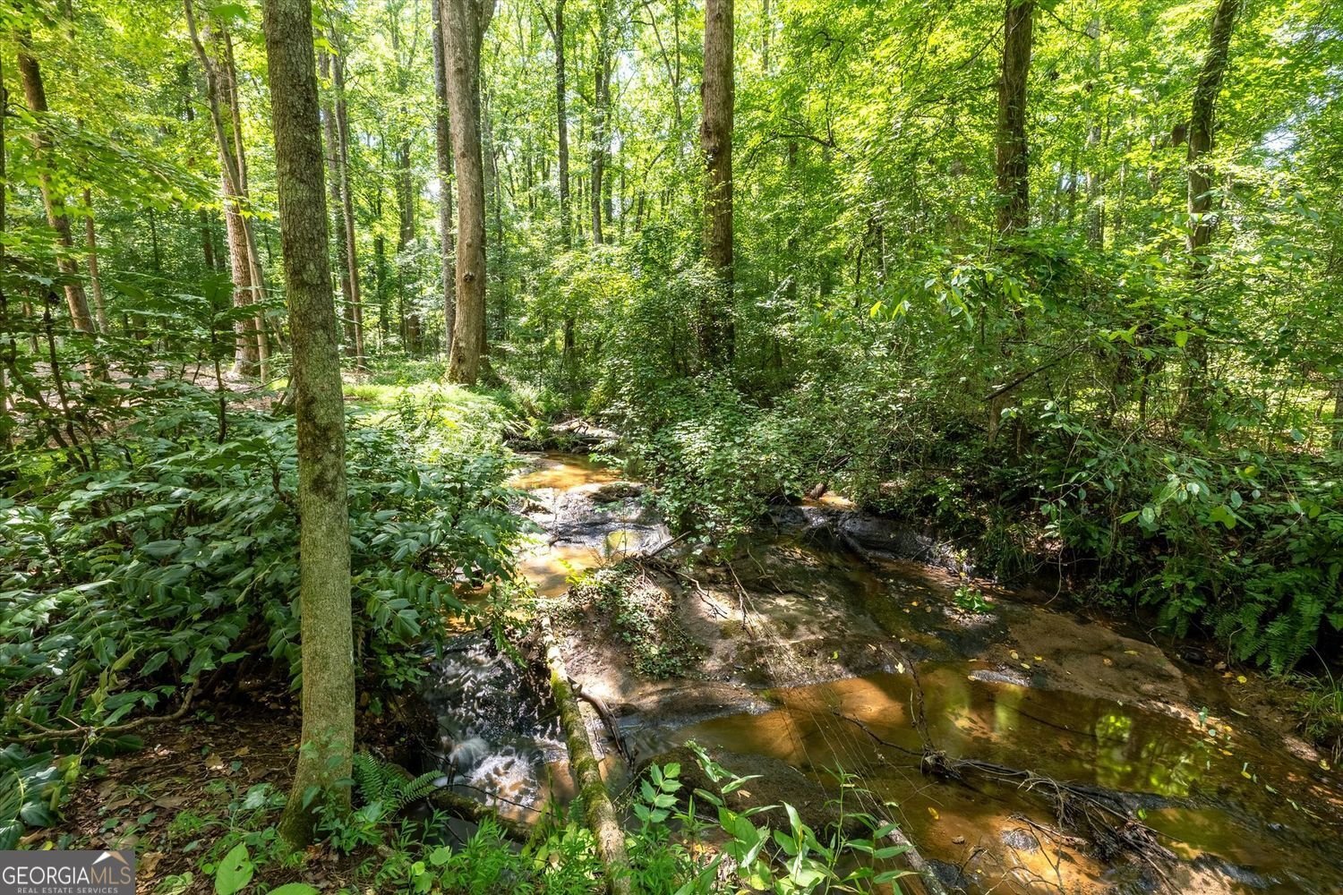 6012 Pattillo Way Lithonia - Photo 83