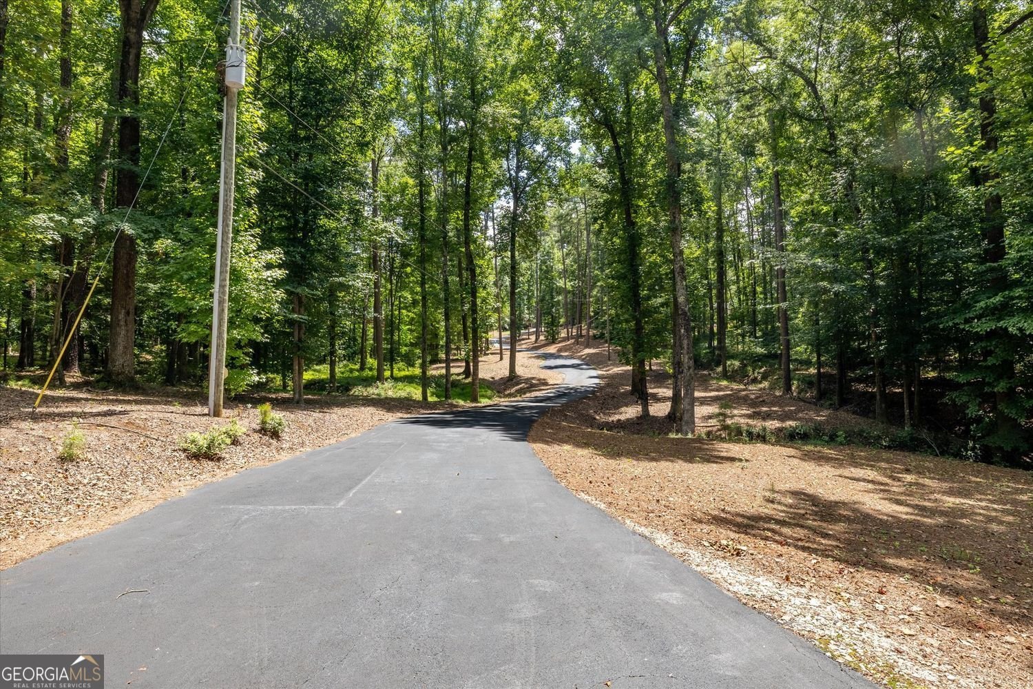 6012 Pattillo Way Lithonia - Photo 89