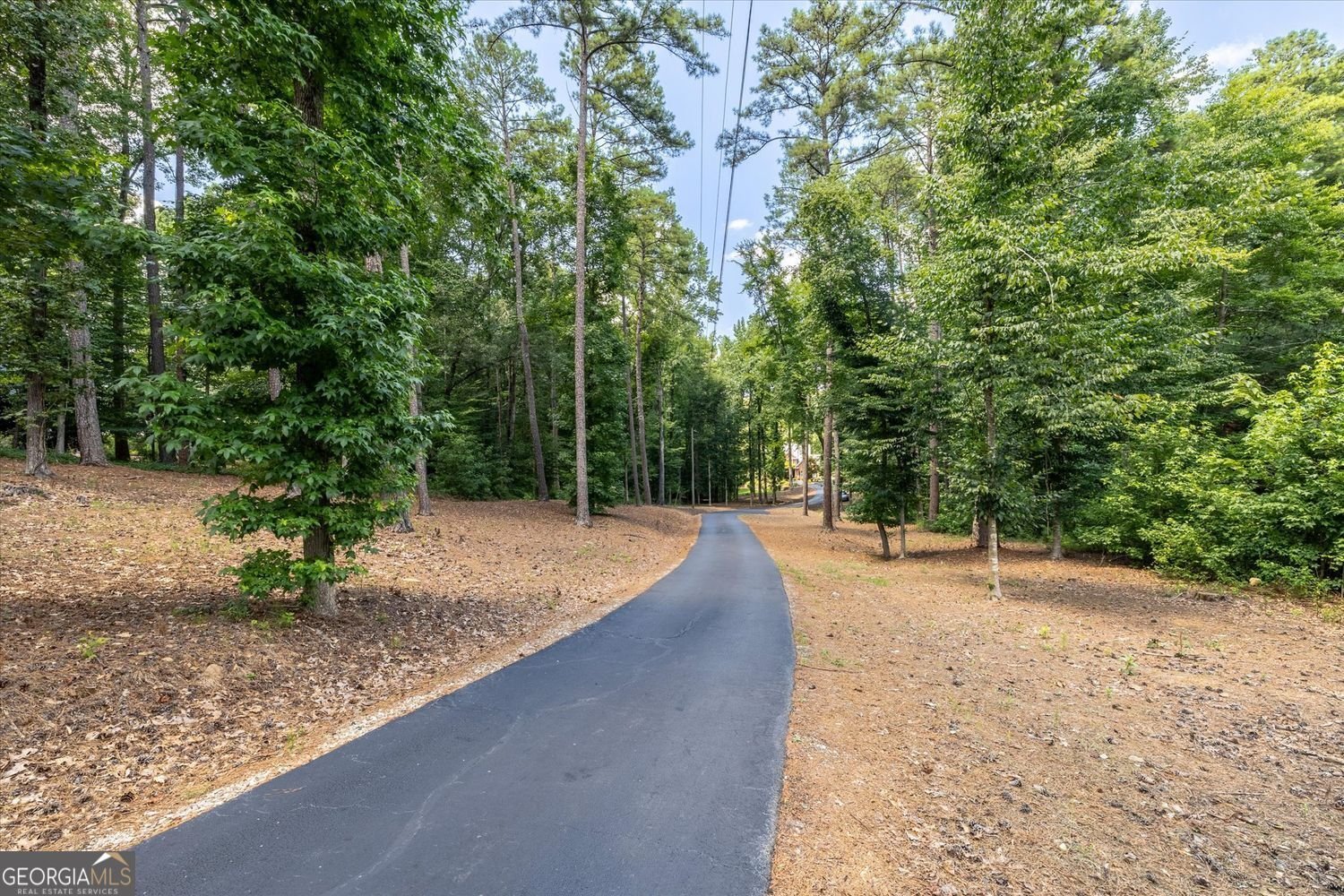 6012 Pattillo Way Lithonia - Photo 90