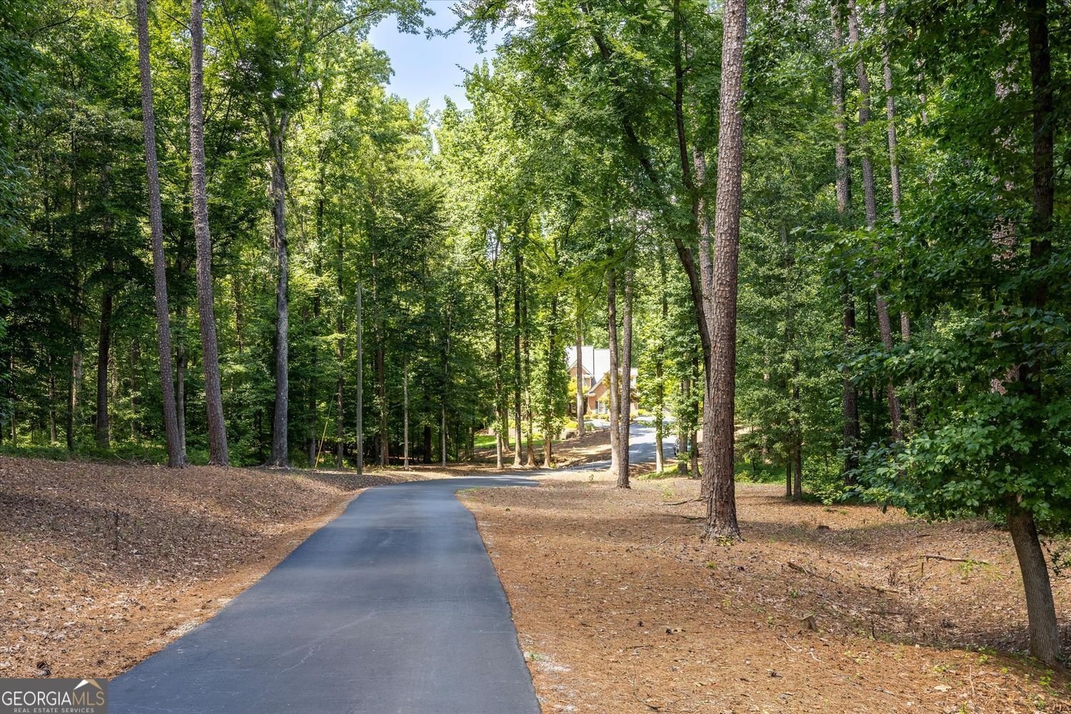 6012 Pattillo Way Lithonia - Photo 91