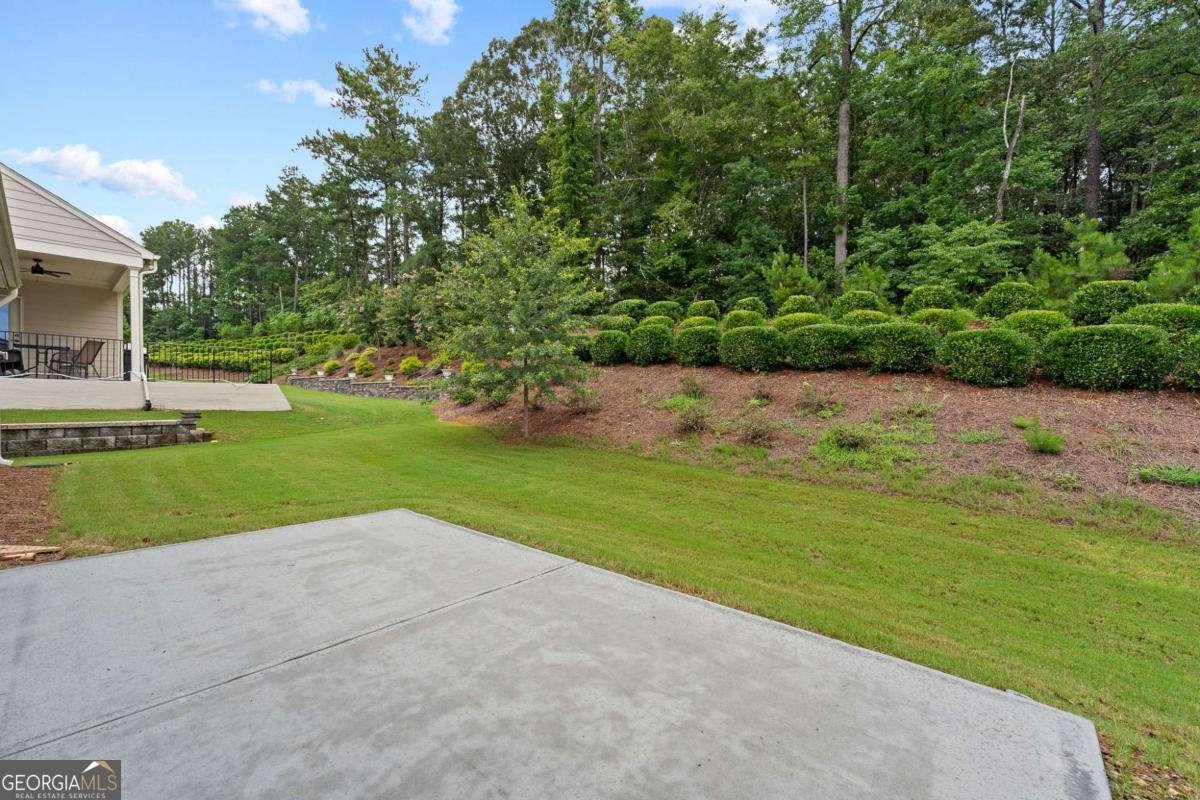 5625 Willow Springs Place Hoschton - Photo 46