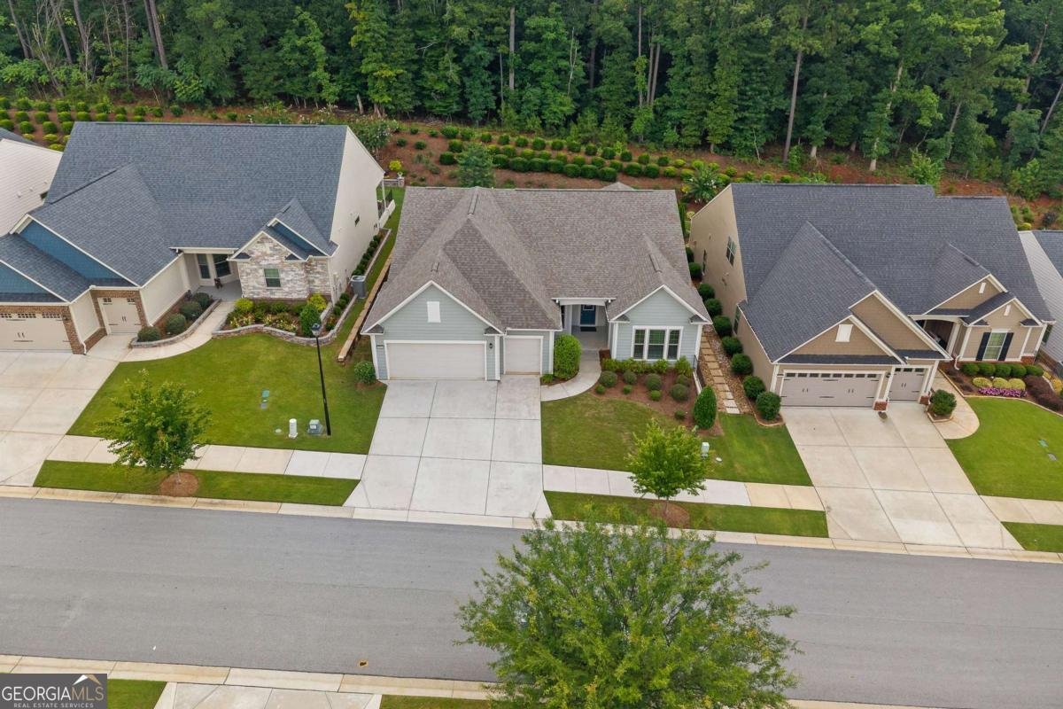 5625 Willow Springs Place Hoschton - Photo 50