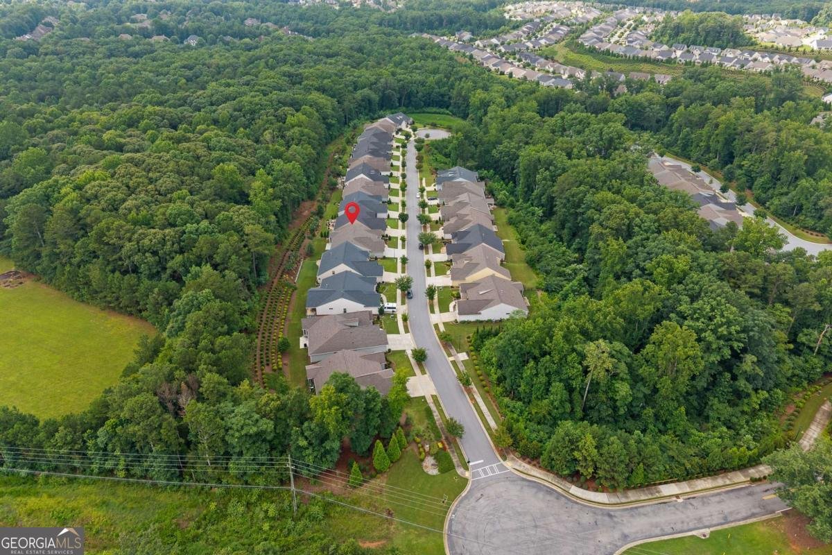 5625 Willow Springs Place Hoschton - Photo 51
