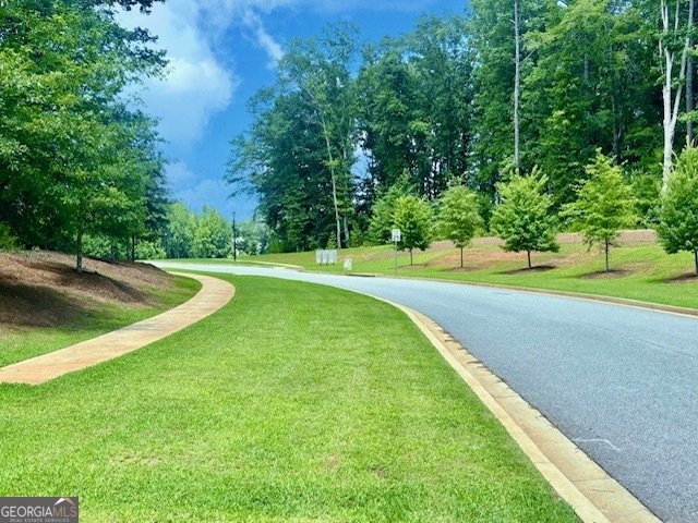 126 Drayton Farm Dr Senoia - Photo 58