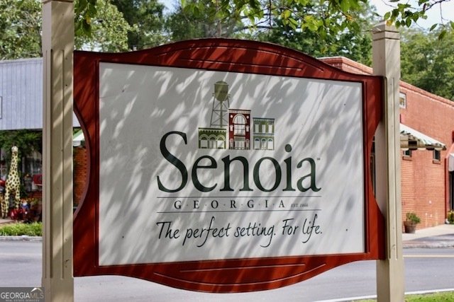 126 Drayton Farm Dr Senoia - Photo 60