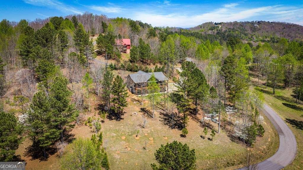 539 Summer Cove Road Blairsville - Photo 54