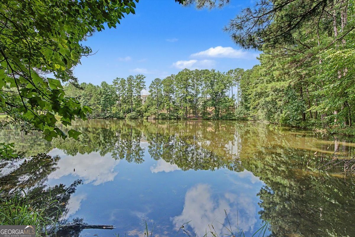 1031 Riverside Road Buford - Photo 40