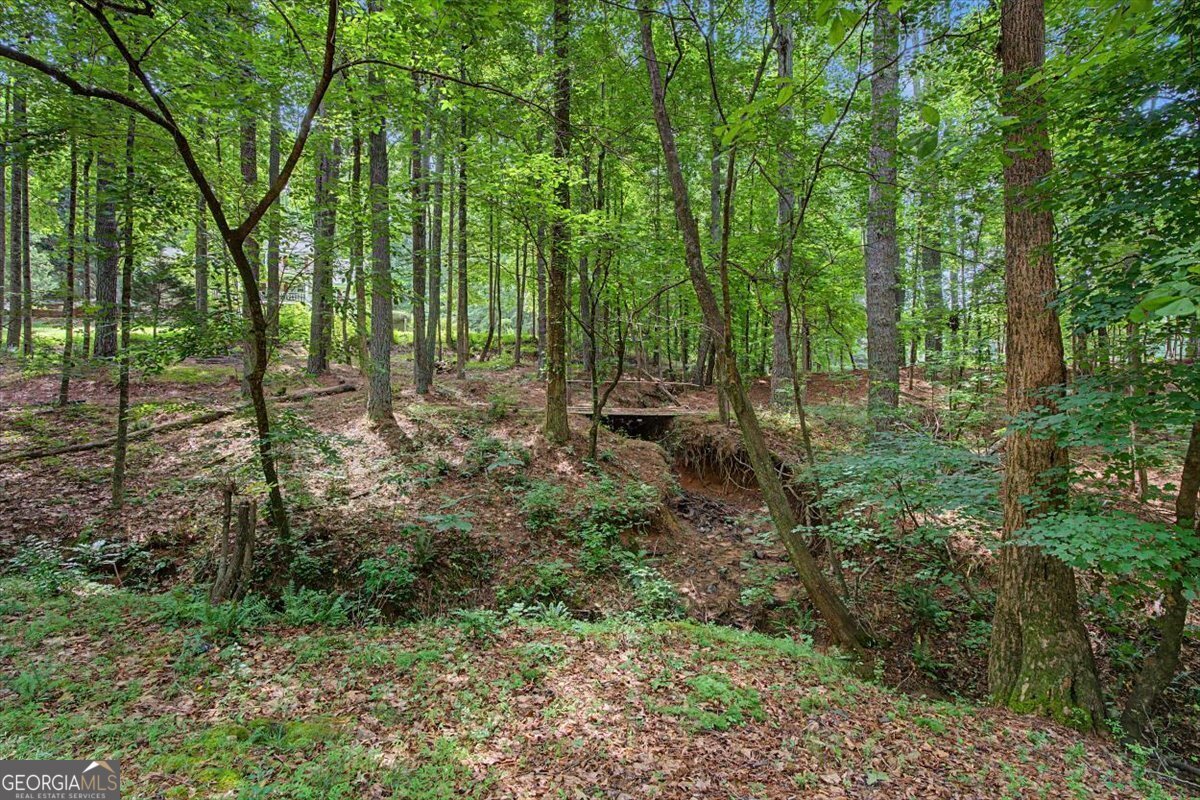 1031 Riverside Road Buford - Photo 41