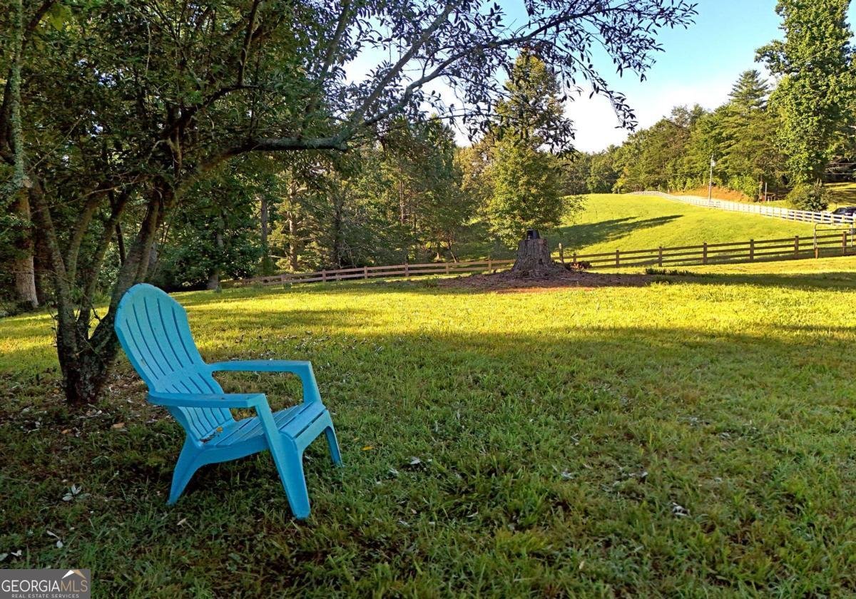 8481 Old Dial Road Blue Ridge - Photo 10