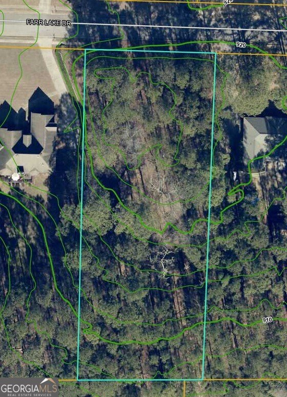 195 Farr Lake Drive Tryone - Photo 27
