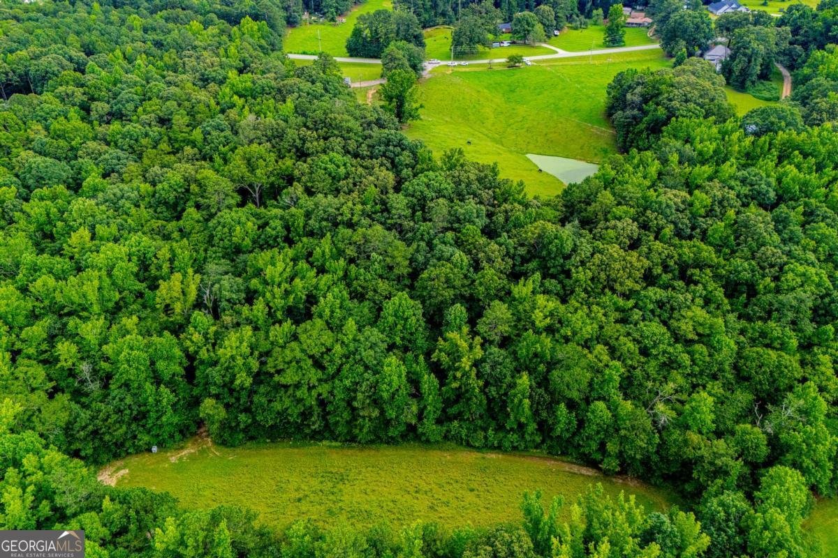 4624 Jacksonville Road Tallapoosa - Photo 10