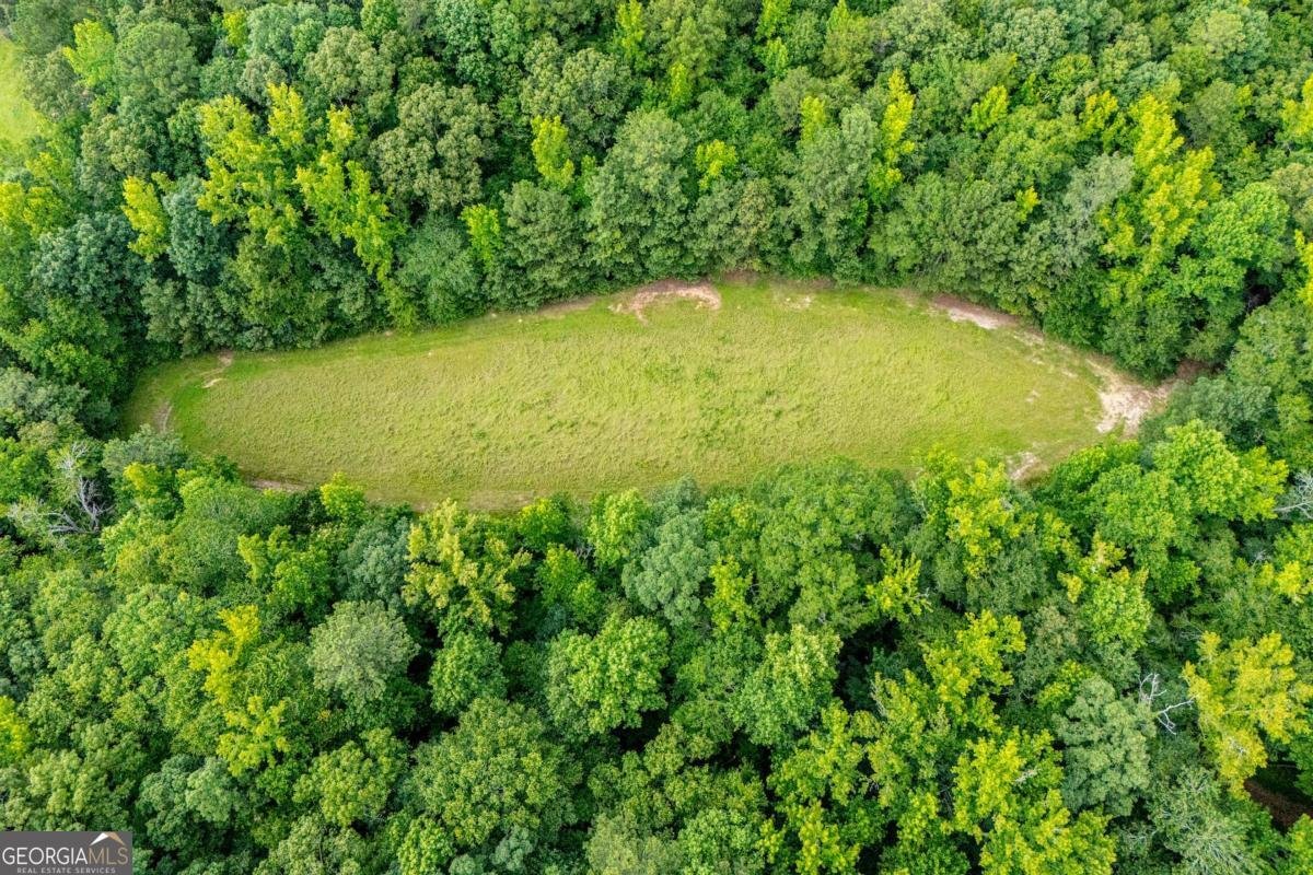 4624 Jacksonville Road Tallapoosa - Photo 11