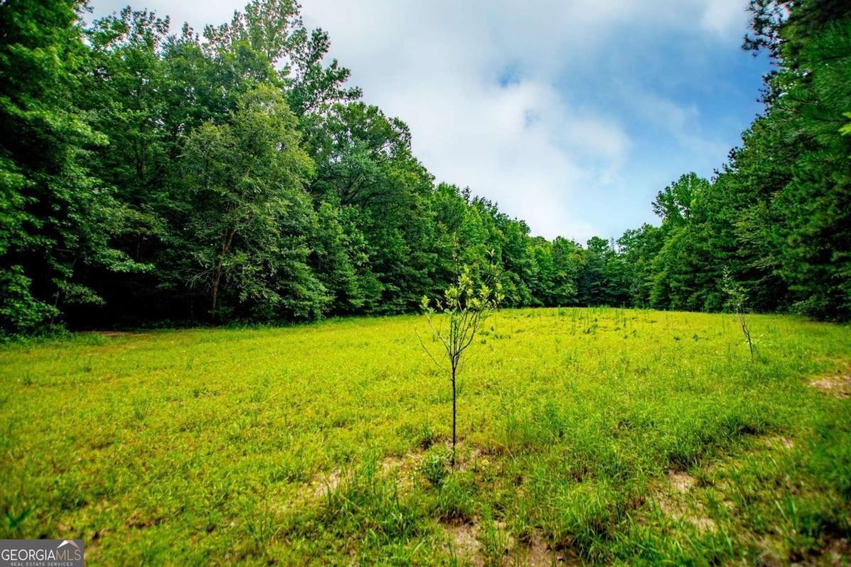 4624 Jacksonville Road Tallapoosa - Photo 46