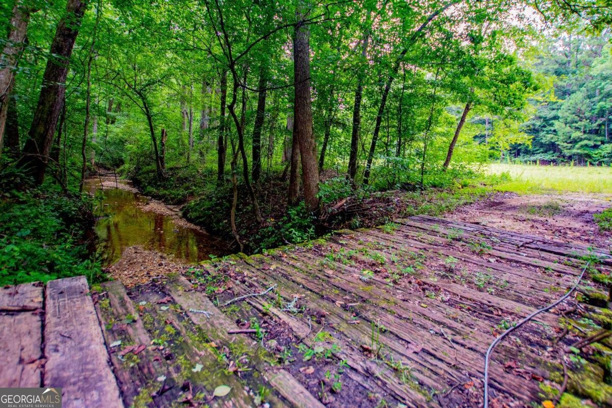 4624 Jacksonville Road Tallapoosa - Photo 47