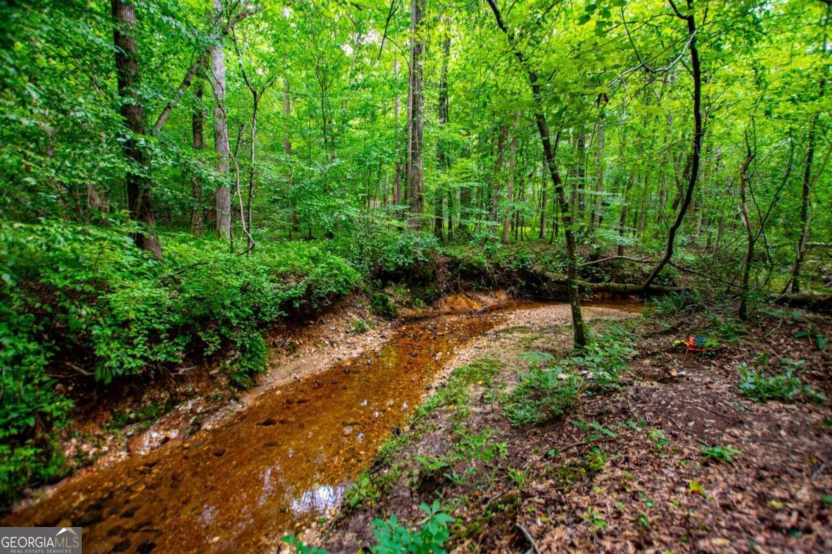 4624 Jacksonville Road Tallapoosa - Photo 48