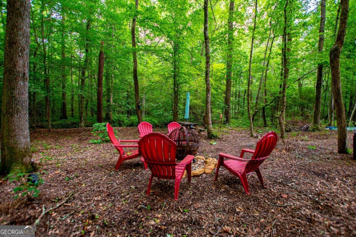 4624 Jacksonville Road Tallapoosa - Photo 49