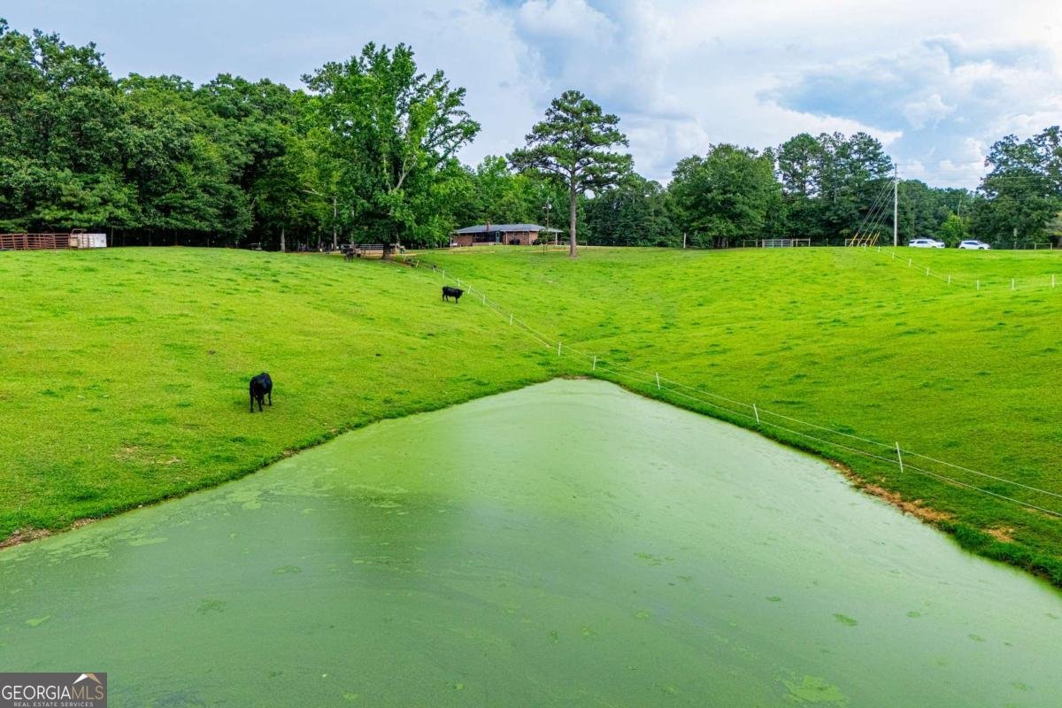 4624 Jacksonville Road Tallapoosa - Photo 8