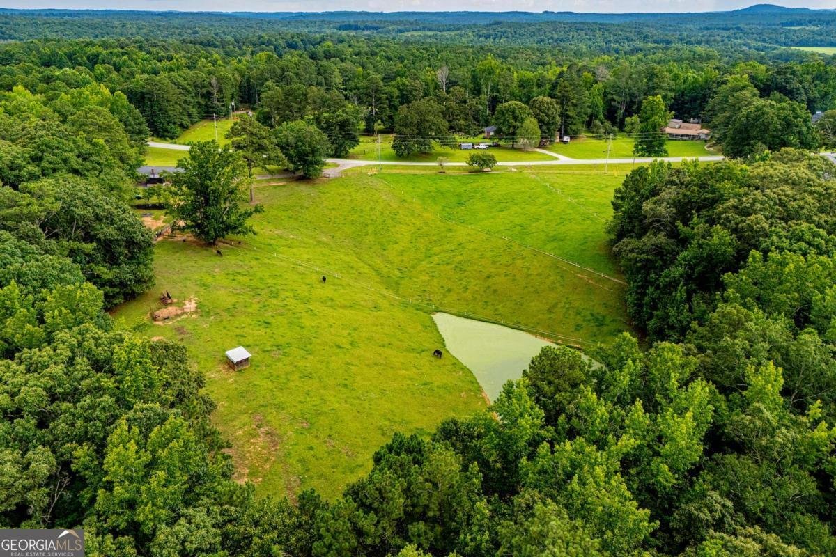 4624 Jacksonville Road Tallapoosa - Photo 9