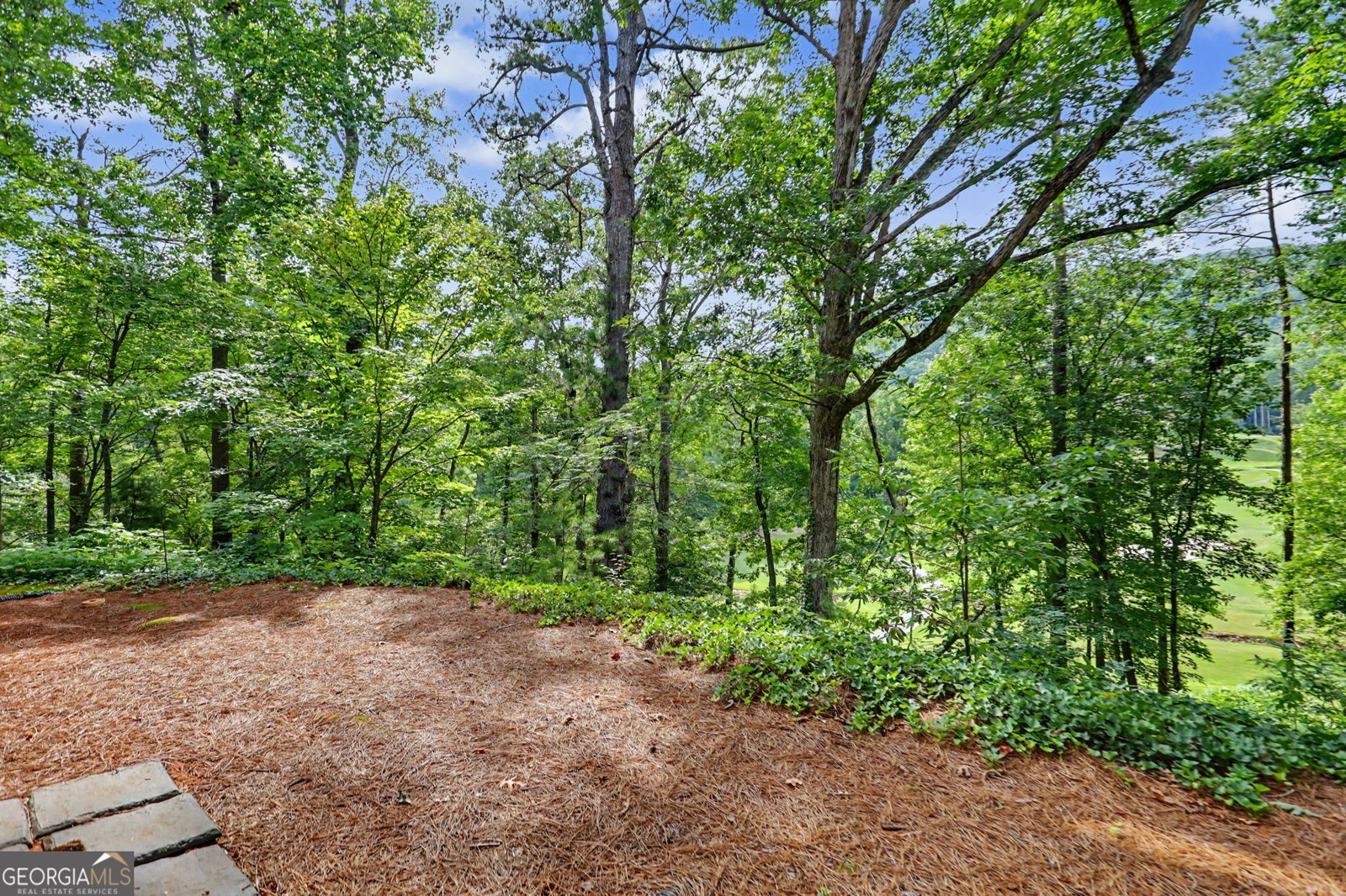 227 Shakespeare Drive Clayton - Photo 14
