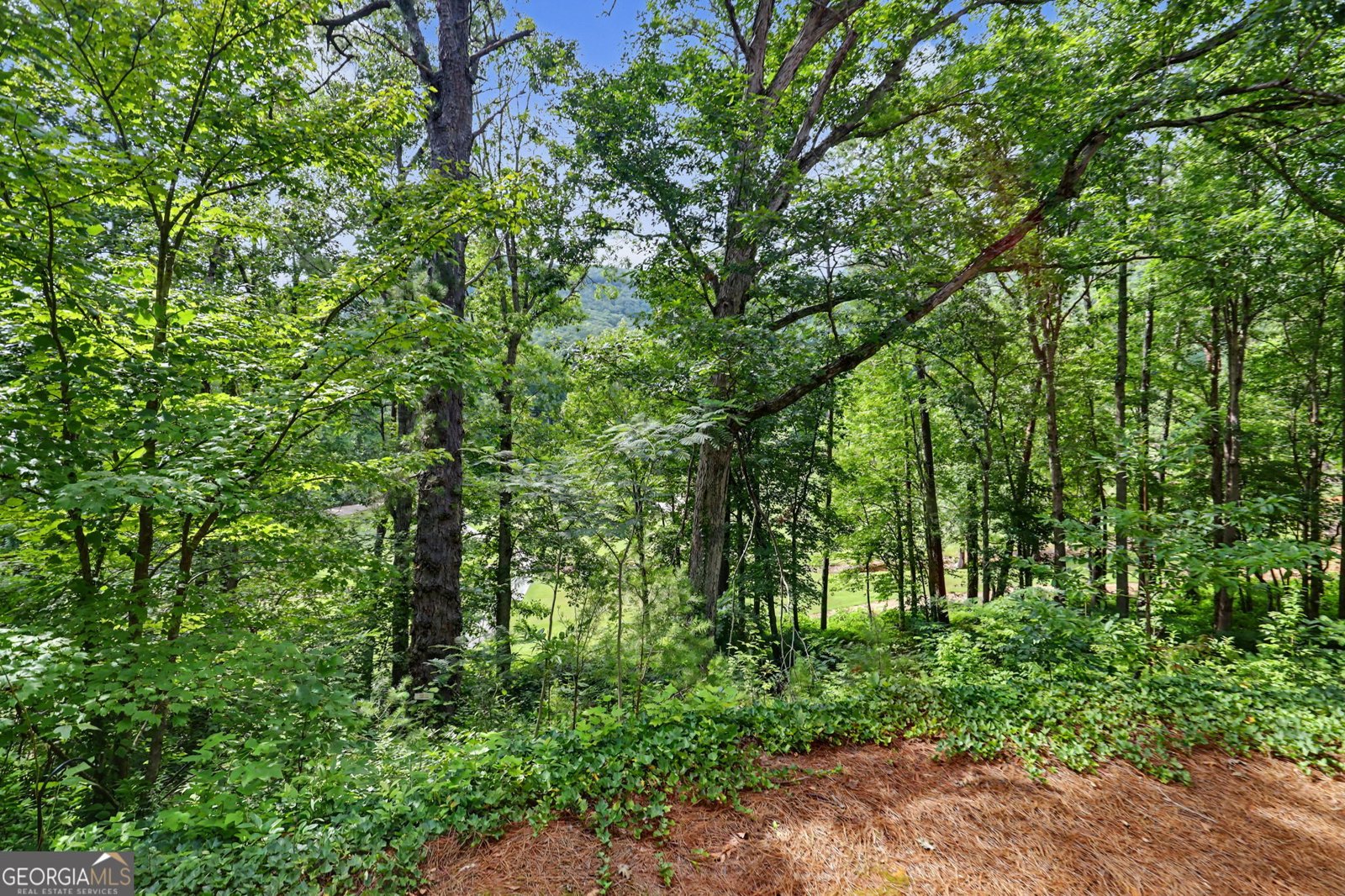 227 Shakespeare Drive Clayton - Photo 43