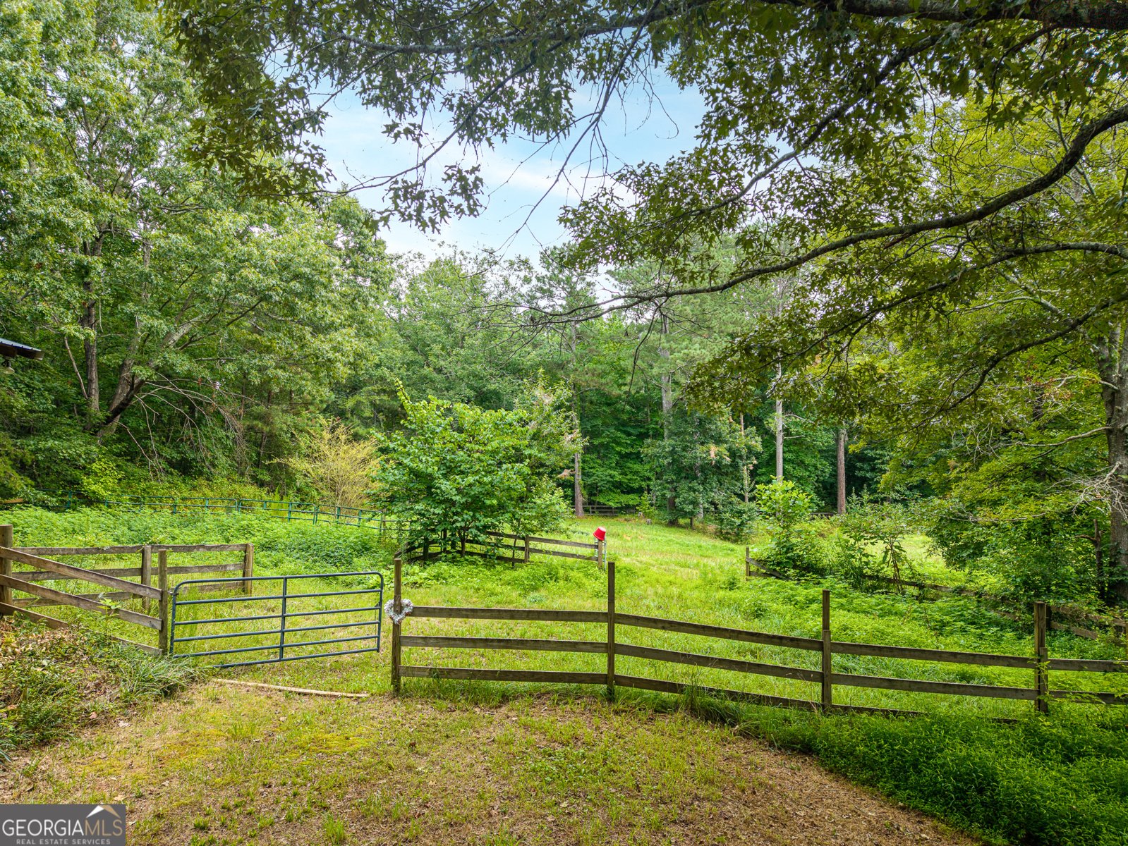25 Loon Lane Ball Ground - Photo 51