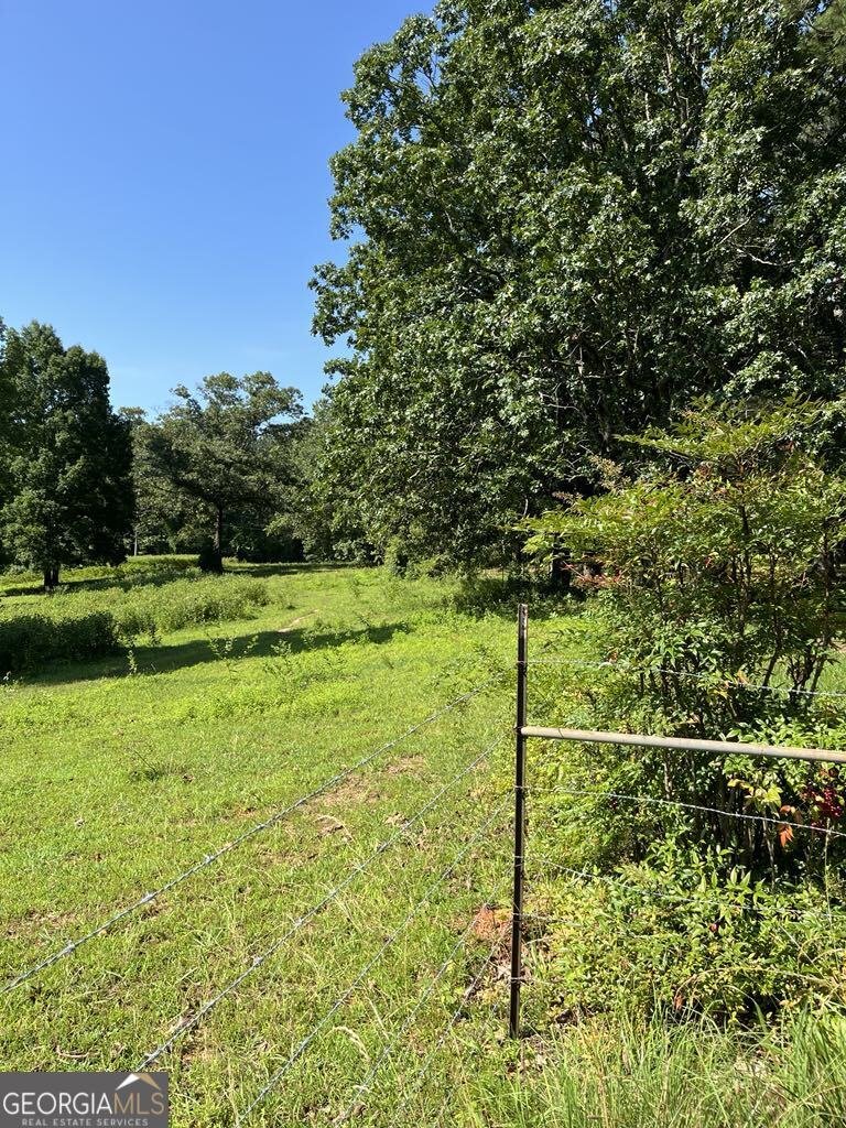 25 Loon Lane Ball Ground - Photo 53