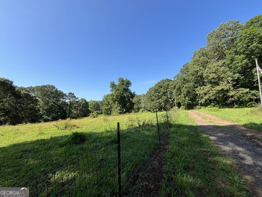 25 Loon Lane Ball Ground - Photo 55