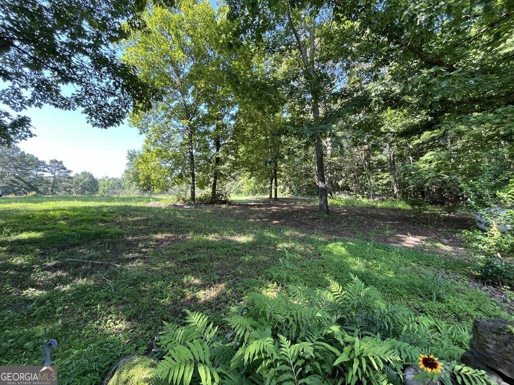 25 Loon Lane Ball Ground - Photo 57