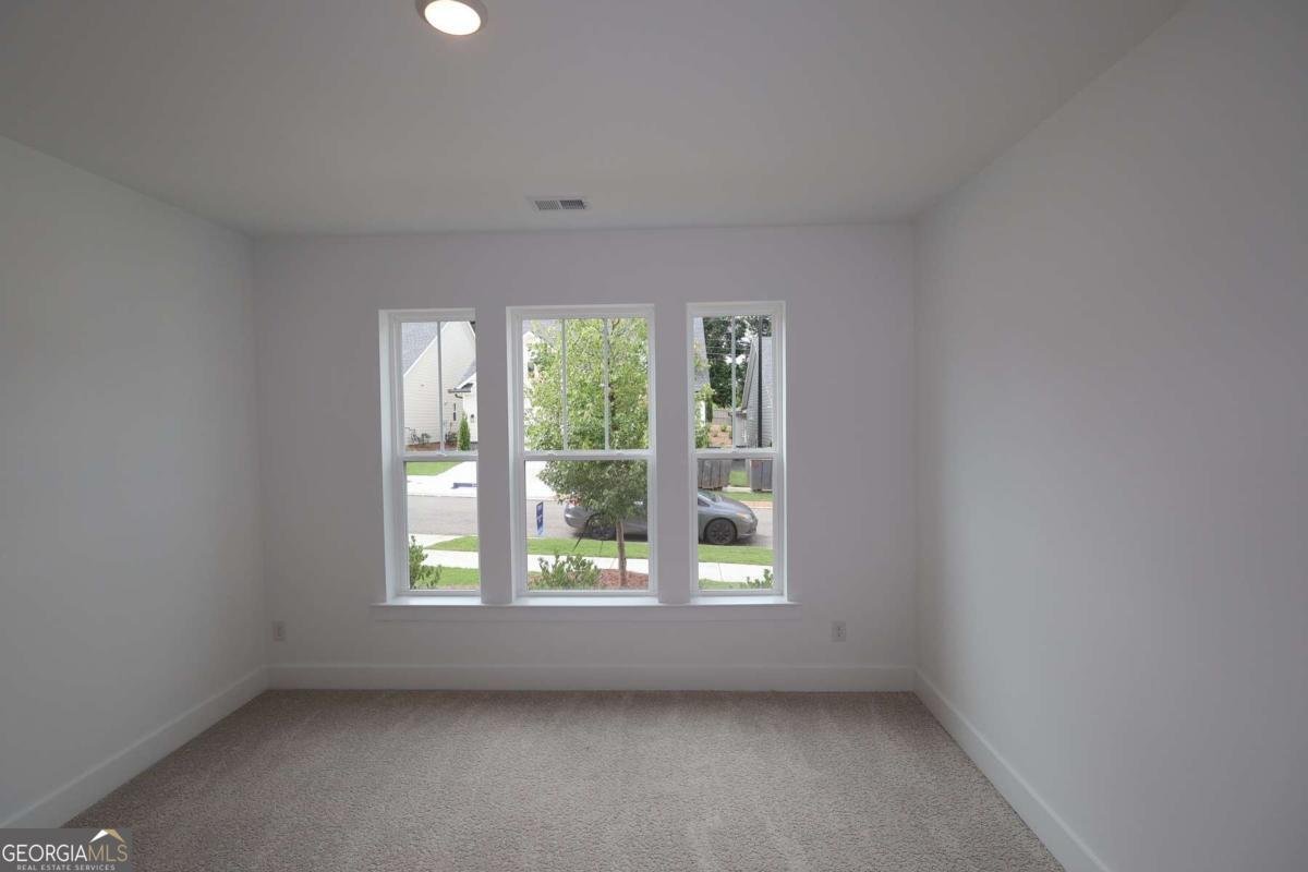 275 Strawberry Lane Woodstock - Photo 14