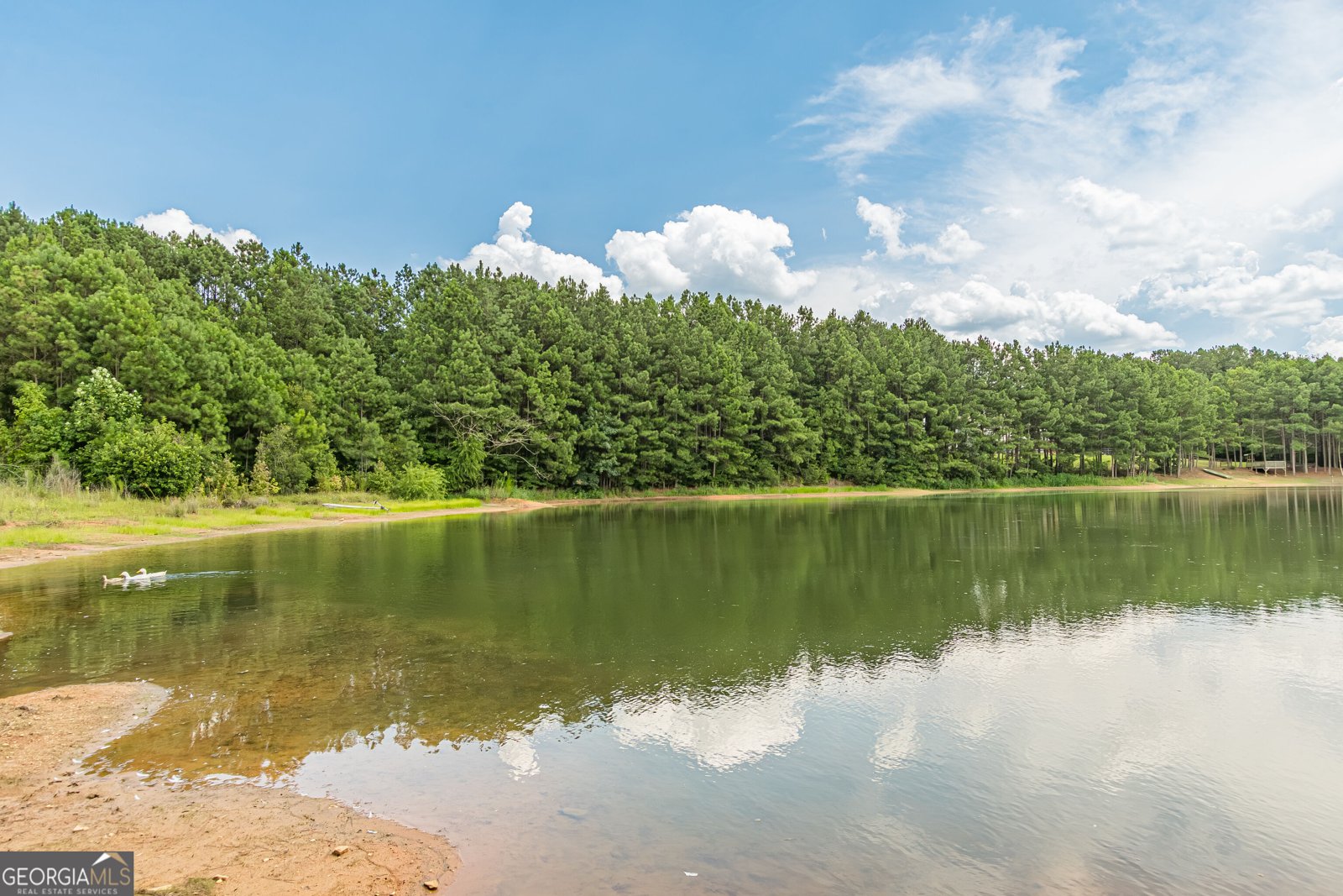 25 Westmoreland Lake Drive Buchanan - Photo 36