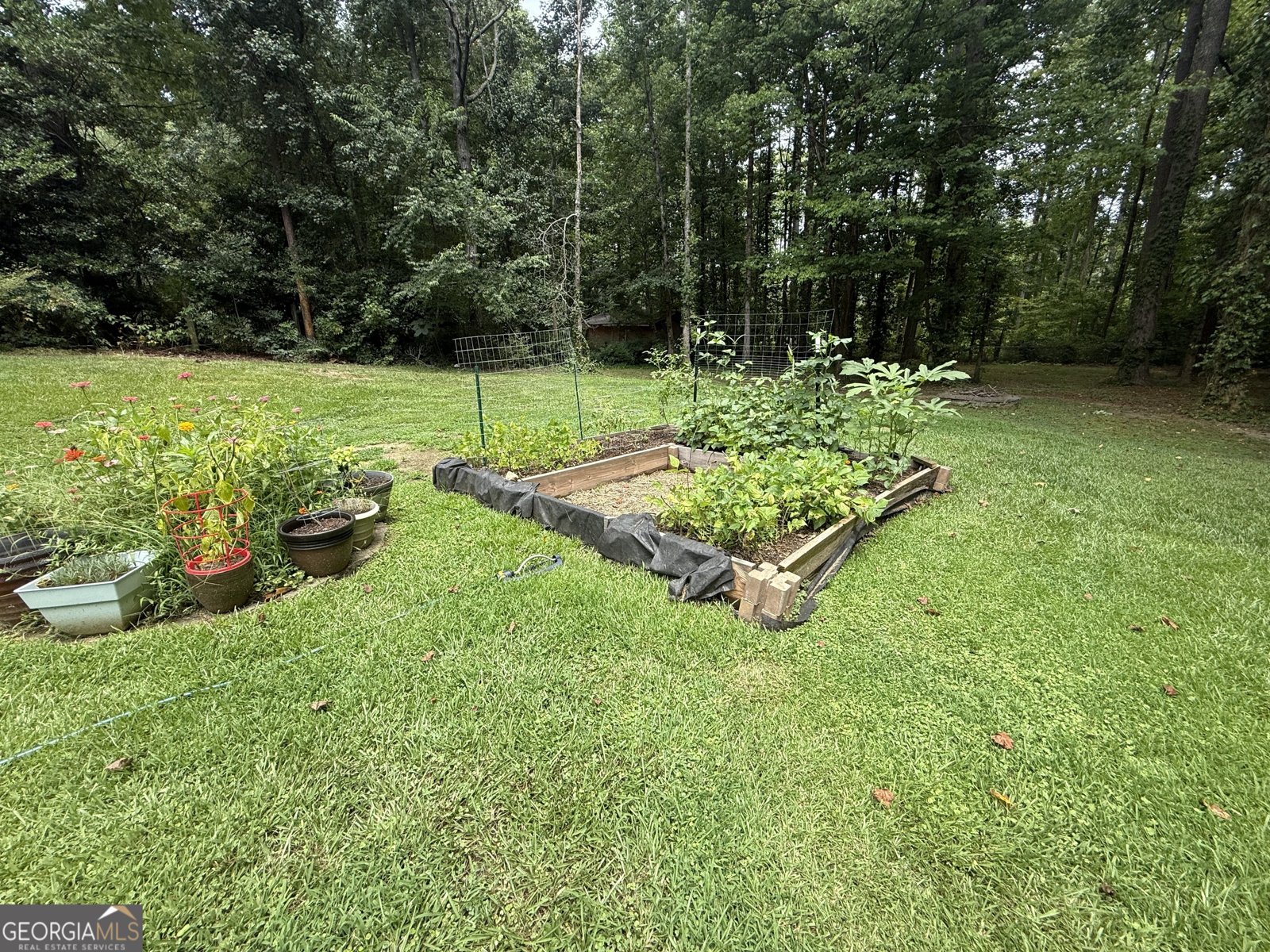 145 London Lane Sharpsburg - Photo 30