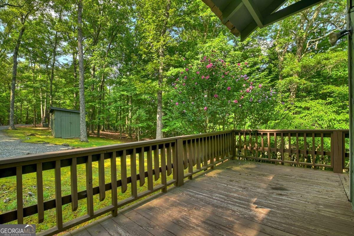 685 Cross Creek Mineral Bluff - Photo 29