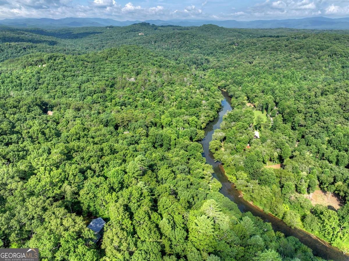 685 Cross Creek Mineral Bluff - Photo 39