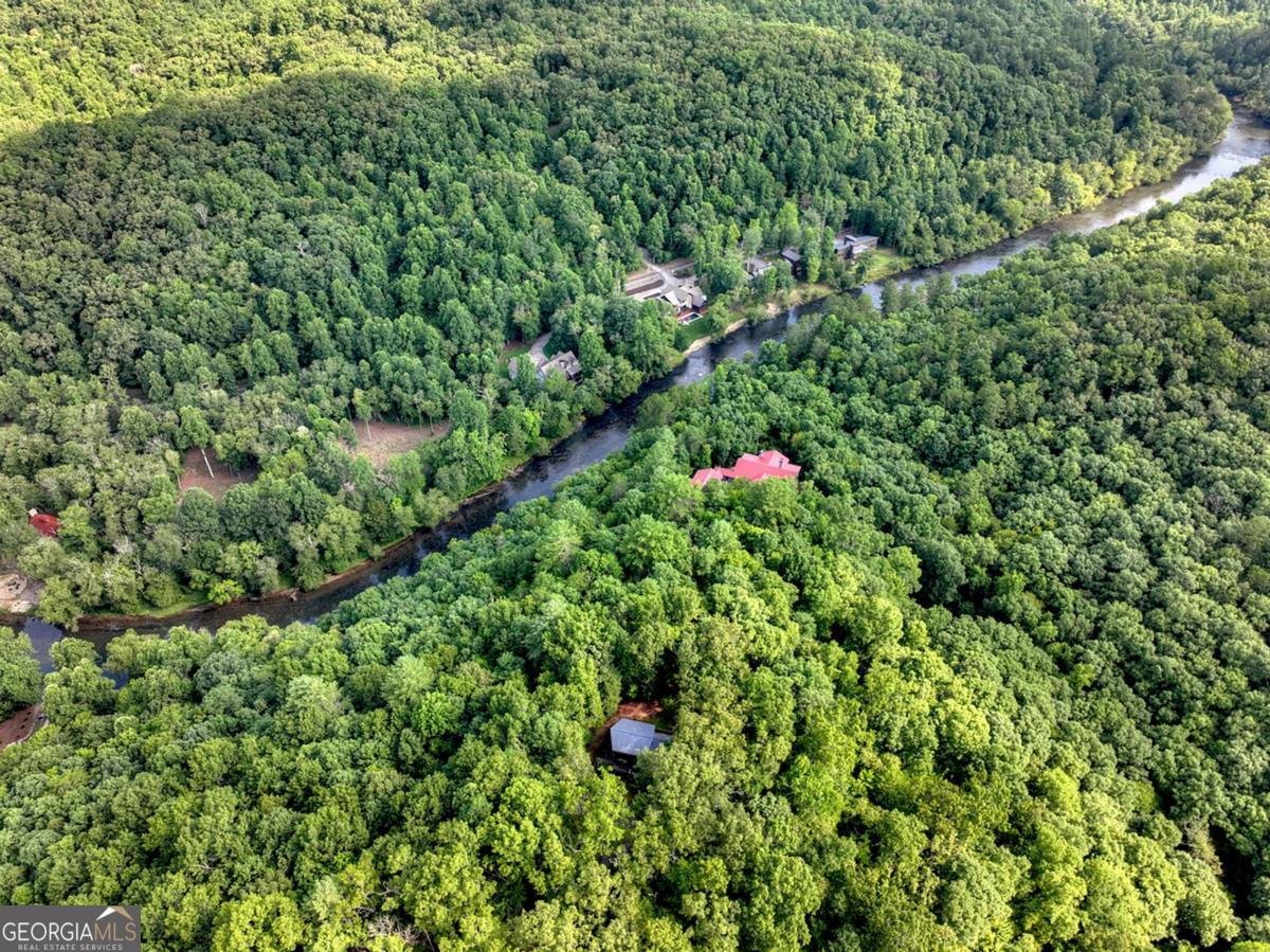 685 Cross Creek Mineral Bluff - Photo 40